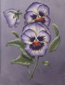 Pansies